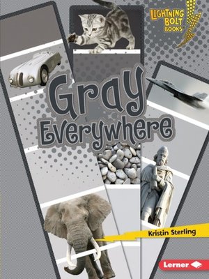 cover image of Gray Everywhere